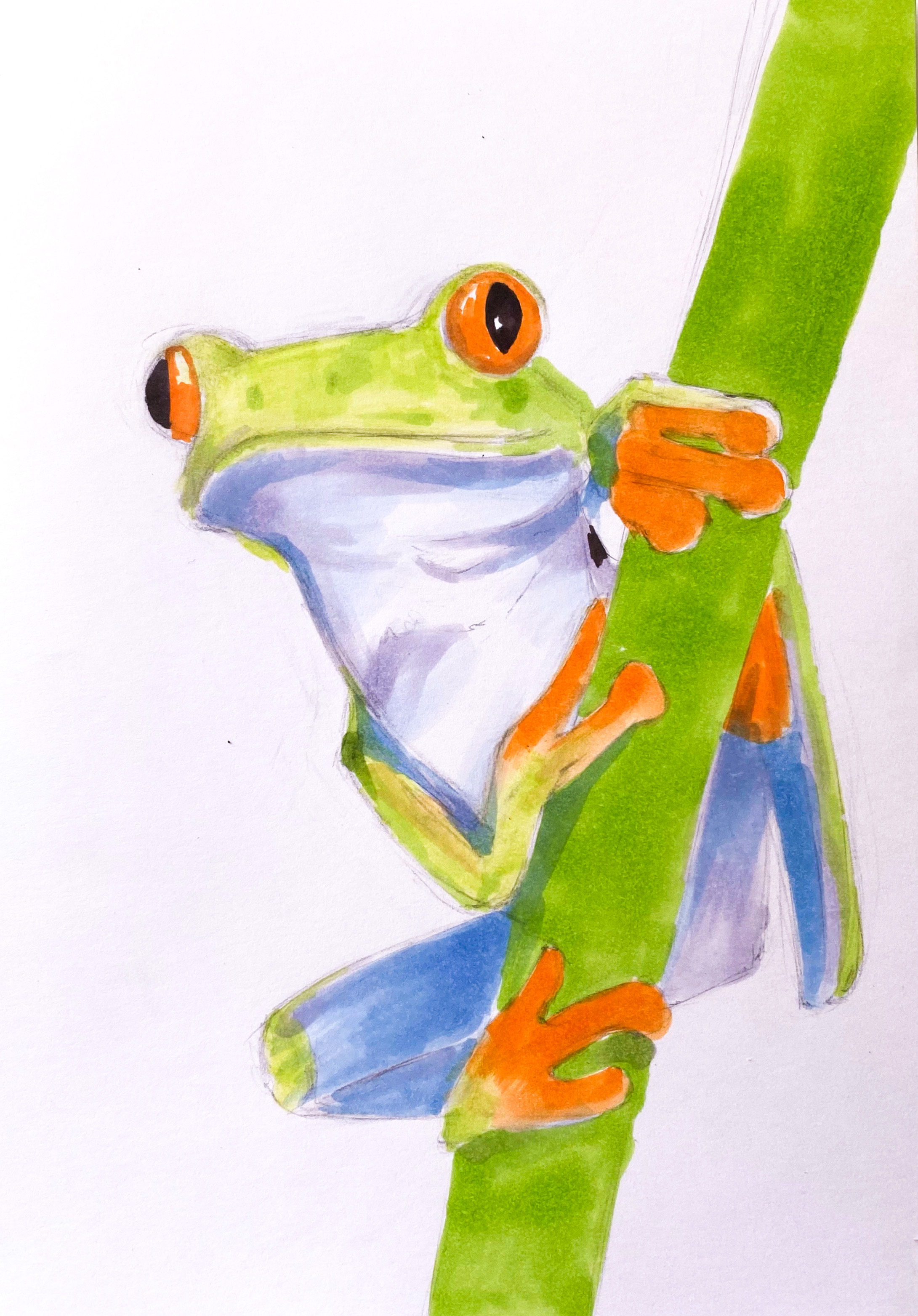 Drawing frog Easy Frog